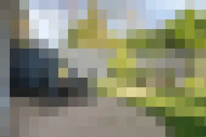Molvense Erven 95 Nuenen thumbnail 41
