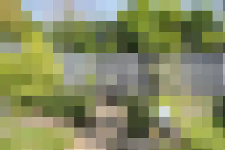 Molvense Erven 95 Nuenen thumbnail 42