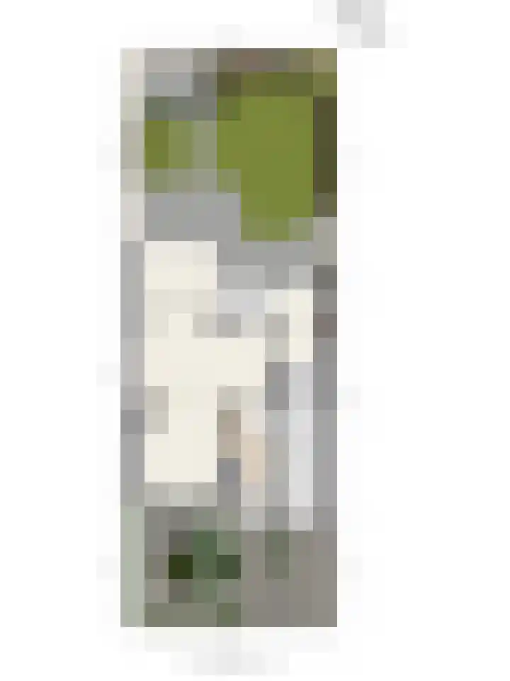 Molvense Erven 95 Nuenen thumbnail 48