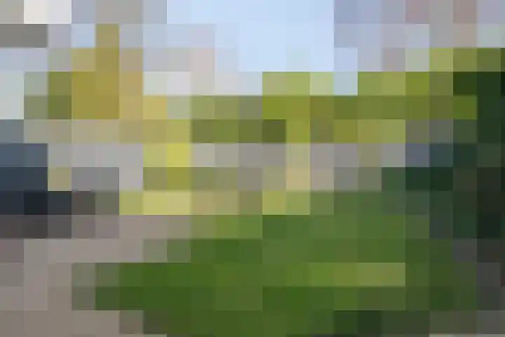 Molvense Erven 95 Nuenen thumbnail 5