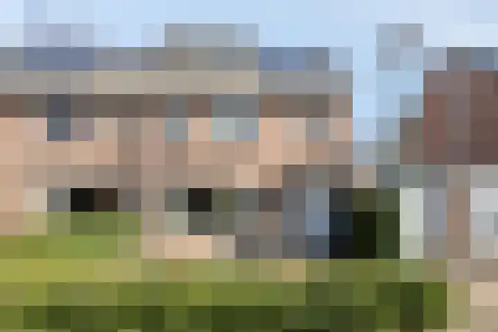 Molvense Erven 95 Nuenen thumbnail 6