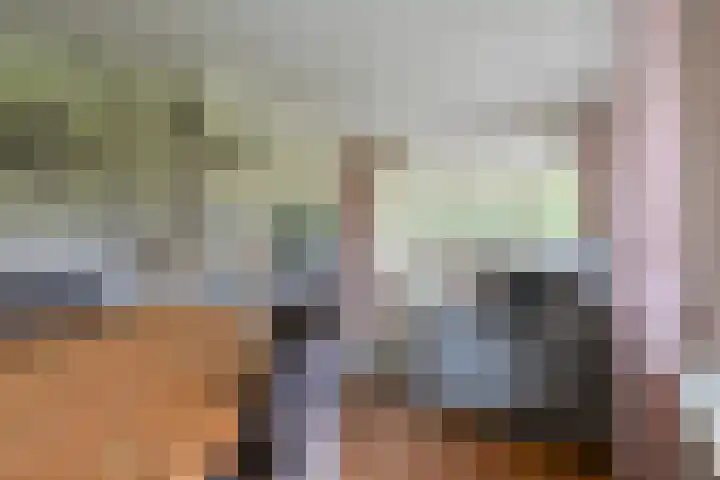 Molweg 20 Terschuur thumbnail 12
