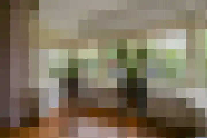 Molweg 20 Terschuur thumbnail 15