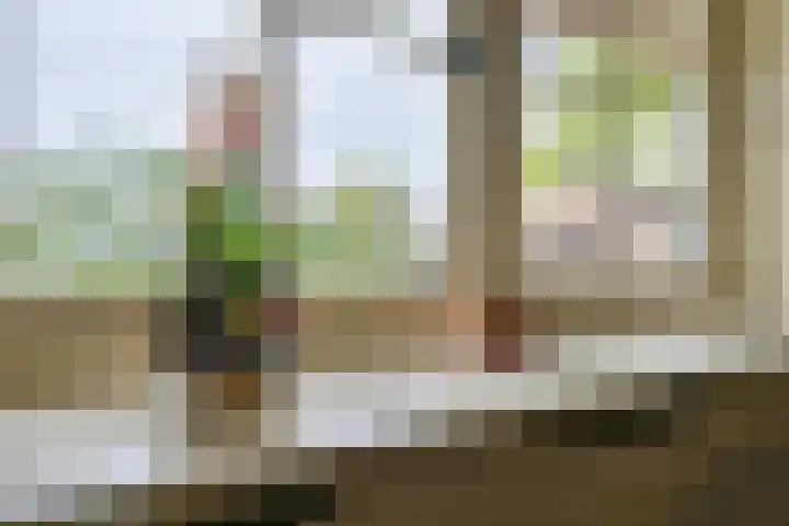 Molweg 20 Terschuur thumbnail 19