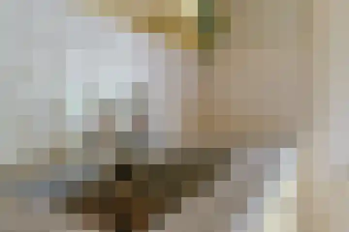 Molweg 20 Terschuur thumbnail 21