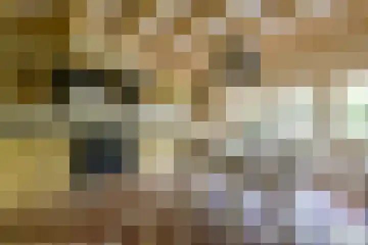 Molweg 20 Terschuur thumbnail 22