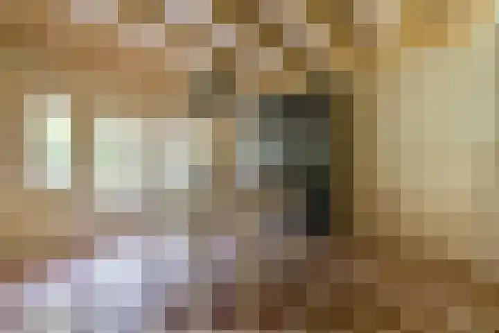 Molweg 20 Terschuur thumbnail 25