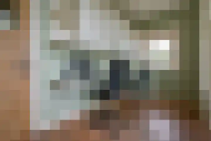 Molweg 20 Terschuur thumbnail 28