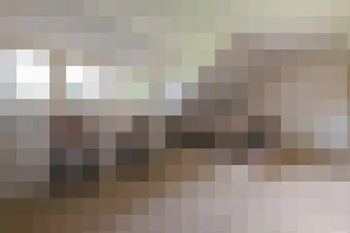 Molweg 20 Terschuur thumbnail 38