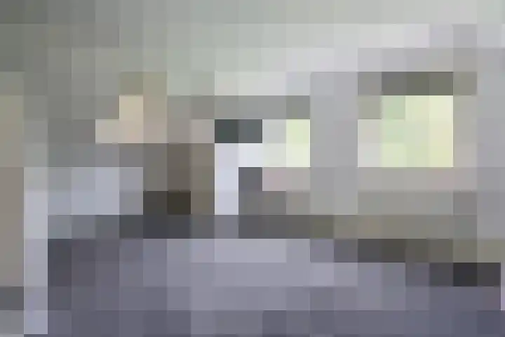 Molweg 20 Terschuur thumbnail 43