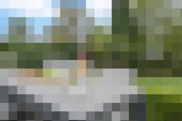 Molweg 20 Terschuur thumbnail 49