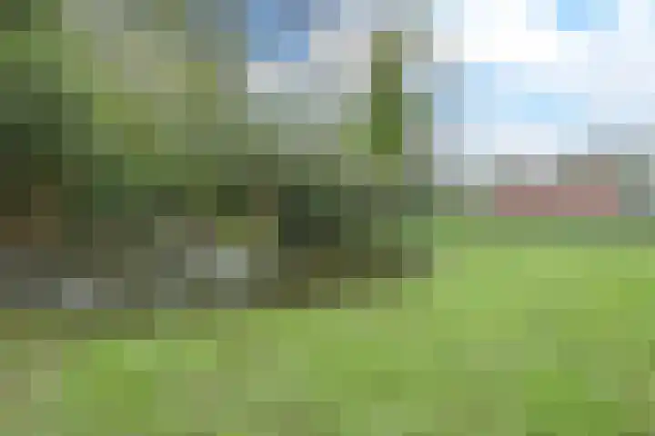 Molweg 20 Terschuur thumbnail 51