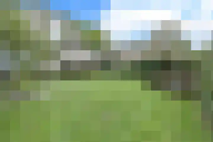 Molweg 20 Terschuur thumbnail 52