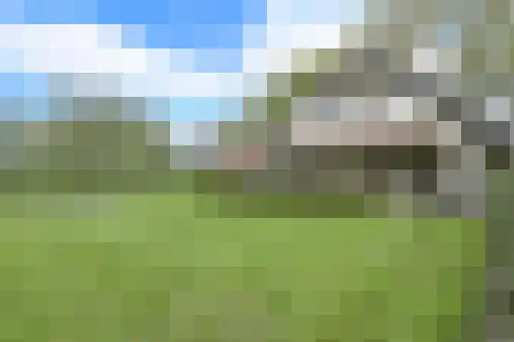 Molweg 20 Terschuur thumbnail 53