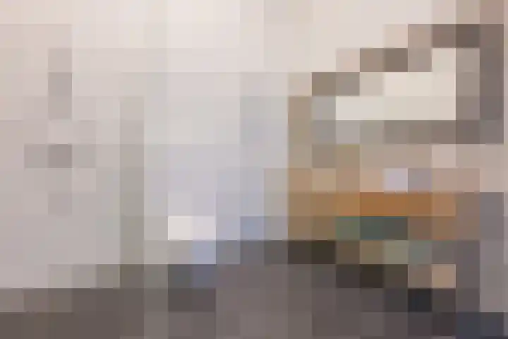 Molweg 20 Terschuur thumbnail 66