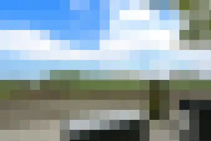 Molweg 20 Terschuur thumbnail 71