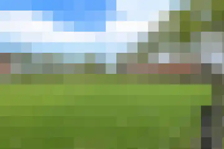 Molweg 20 Terschuur thumbnail 72