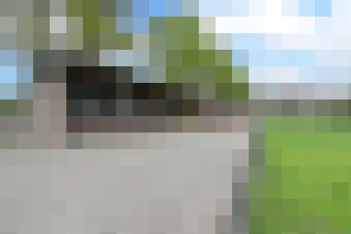 Molweg 20 Terschuur thumbnail 73