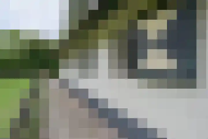 Molweg 20 Terschuur thumbnail 76