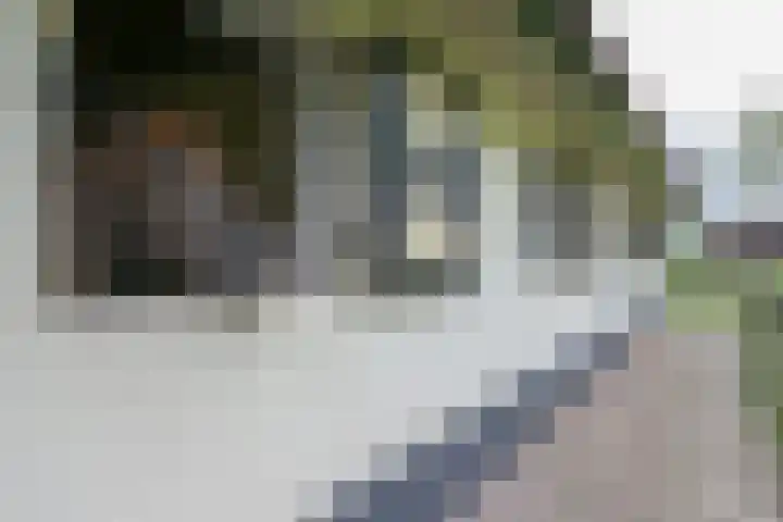 Molweg 20 Terschuur thumbnail 77