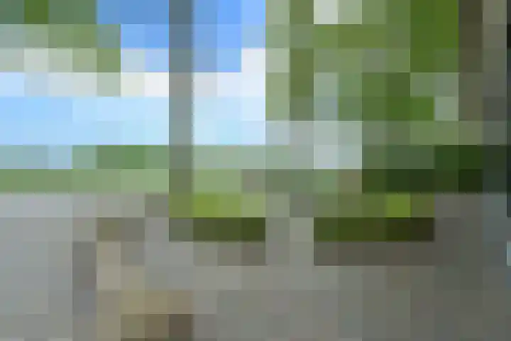 Molweg 20 Terschuur thumbnail 79