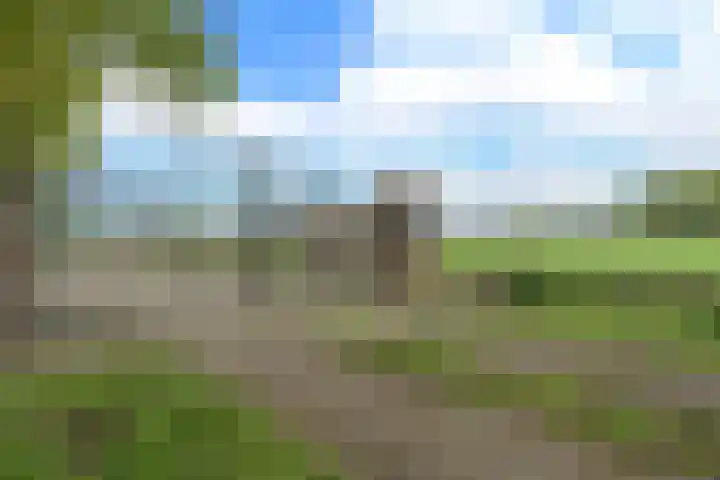 Molweg 20 Terschuur thumbnail 80