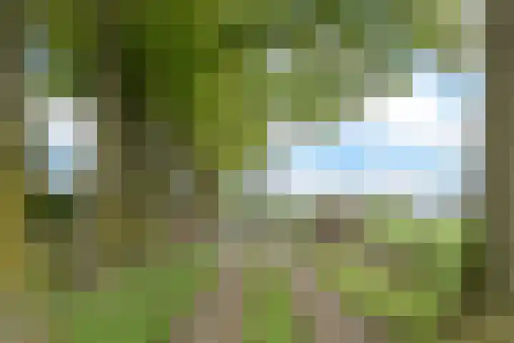 Molweg 20 Terschuur thumbnail 81