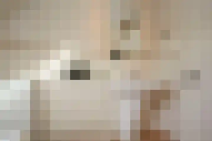Molwijk 11 Middenbeemster thumbnail 35