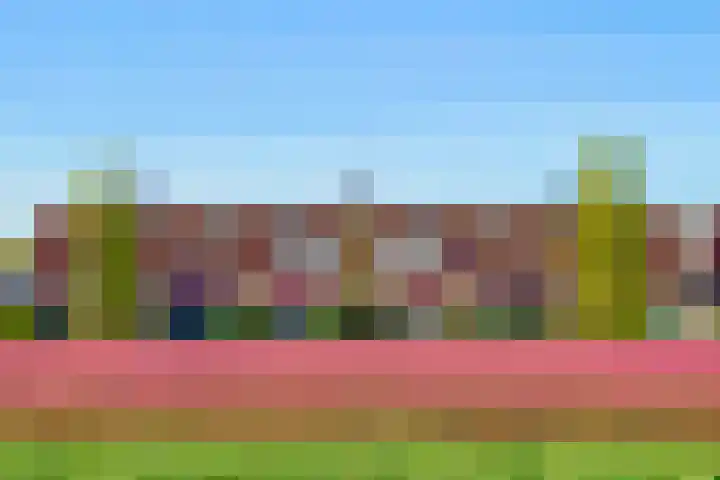 Molwijk 11 Middenbeemster thumbnail 5