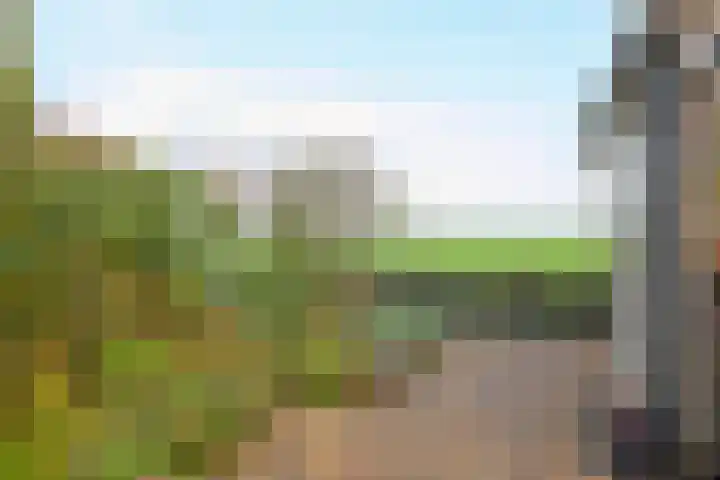 Molwijk 11 Middenbeemster thumbnail 53