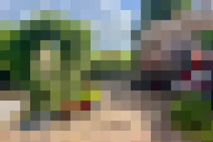 Molwijk 11 Middenbeemster thumbnail 54