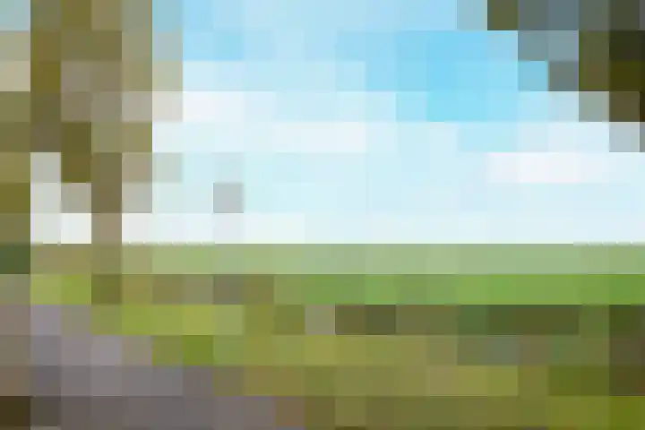 Molwijk 11 Middenbeemster thumbnail 58