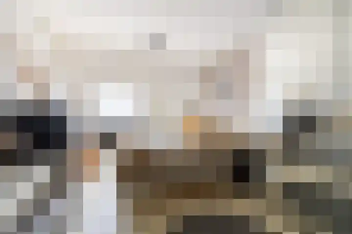 Molwijk 4 Middenbeemster thumbnail 24