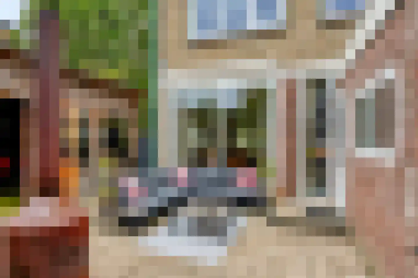 Mombaerstraat 160 Zwolle thumbnail 41