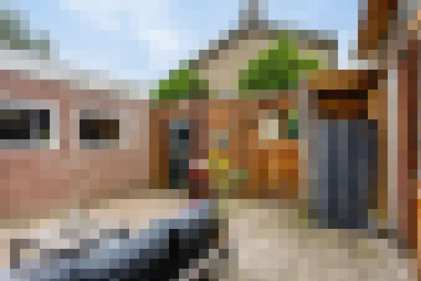 Mombaerstraat 160 Zwolle thumbnail 42