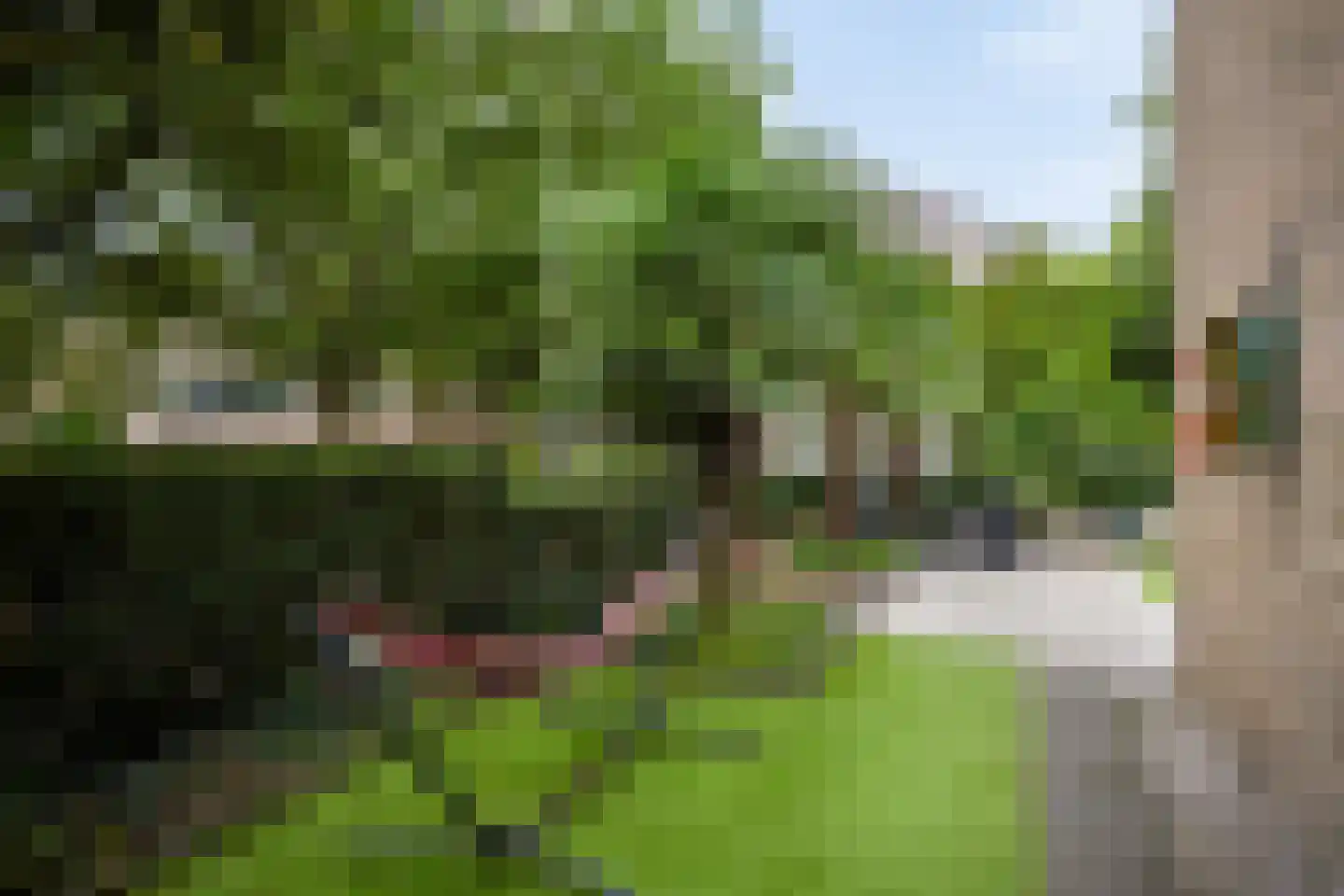 Mombaerstraat 160 Zwolle thumbnail 9