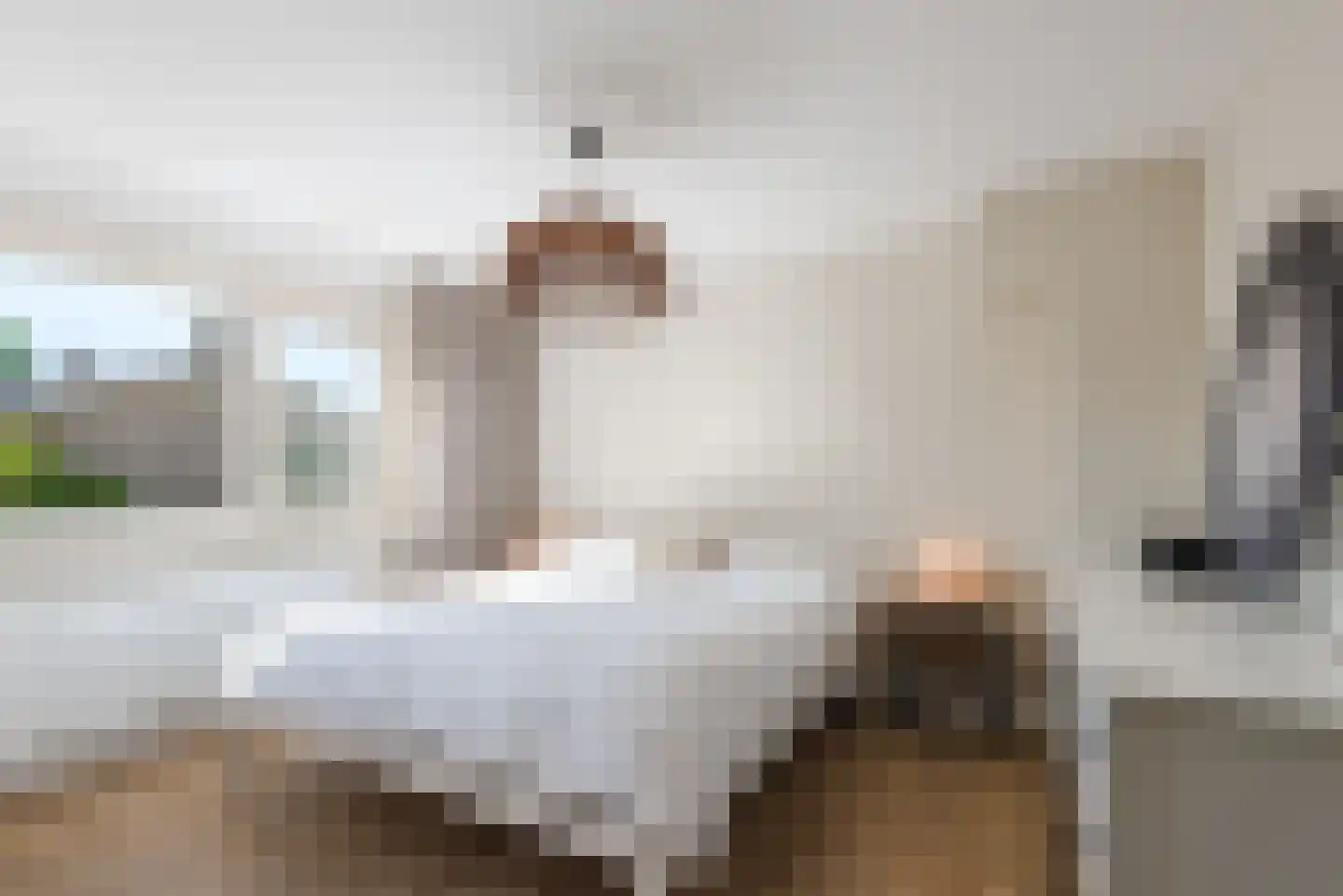 Mombaerstraat 162 Zwolle thumbnail 26