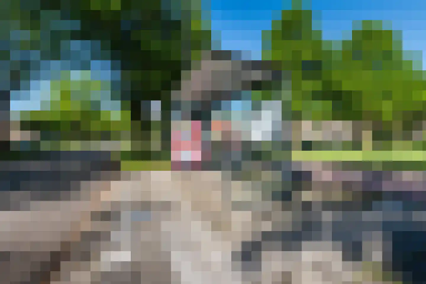 Mombaerstraat 162 Zwolle thumbnail 43