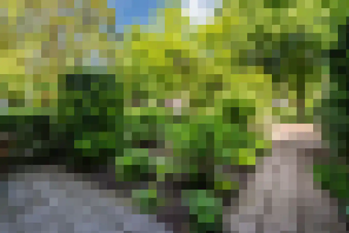 Mombaerstraat 162 Zwolle thumbnail 7