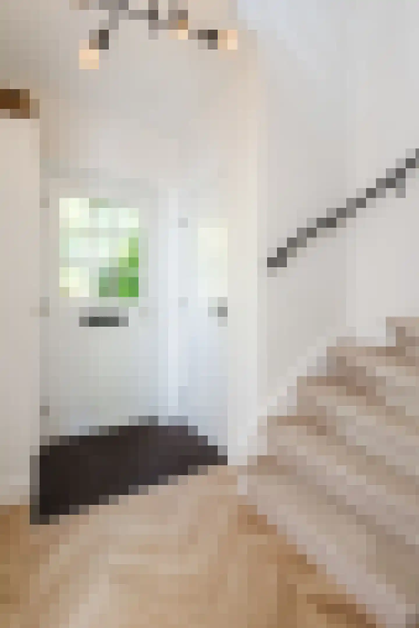 Mombaerstraat 162 Zwolle thumbnail 8