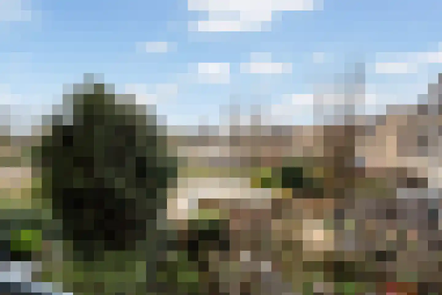 Mommastraat 6 Wateringen thumbnail 12