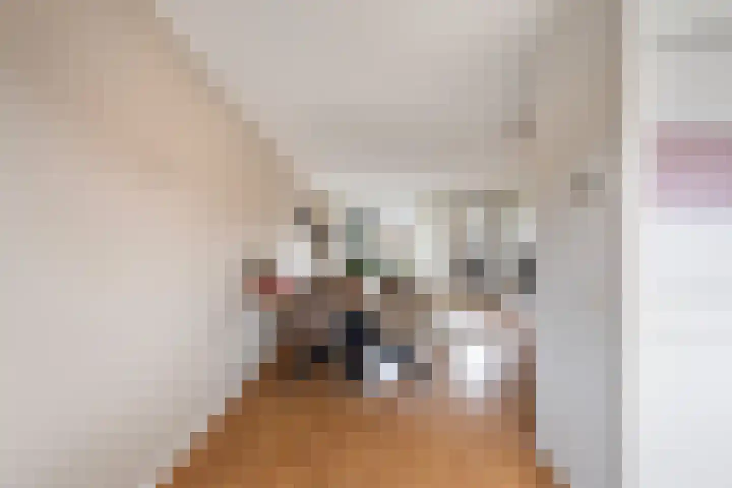 Mommastraat 6 Wateringen thumbnail 13