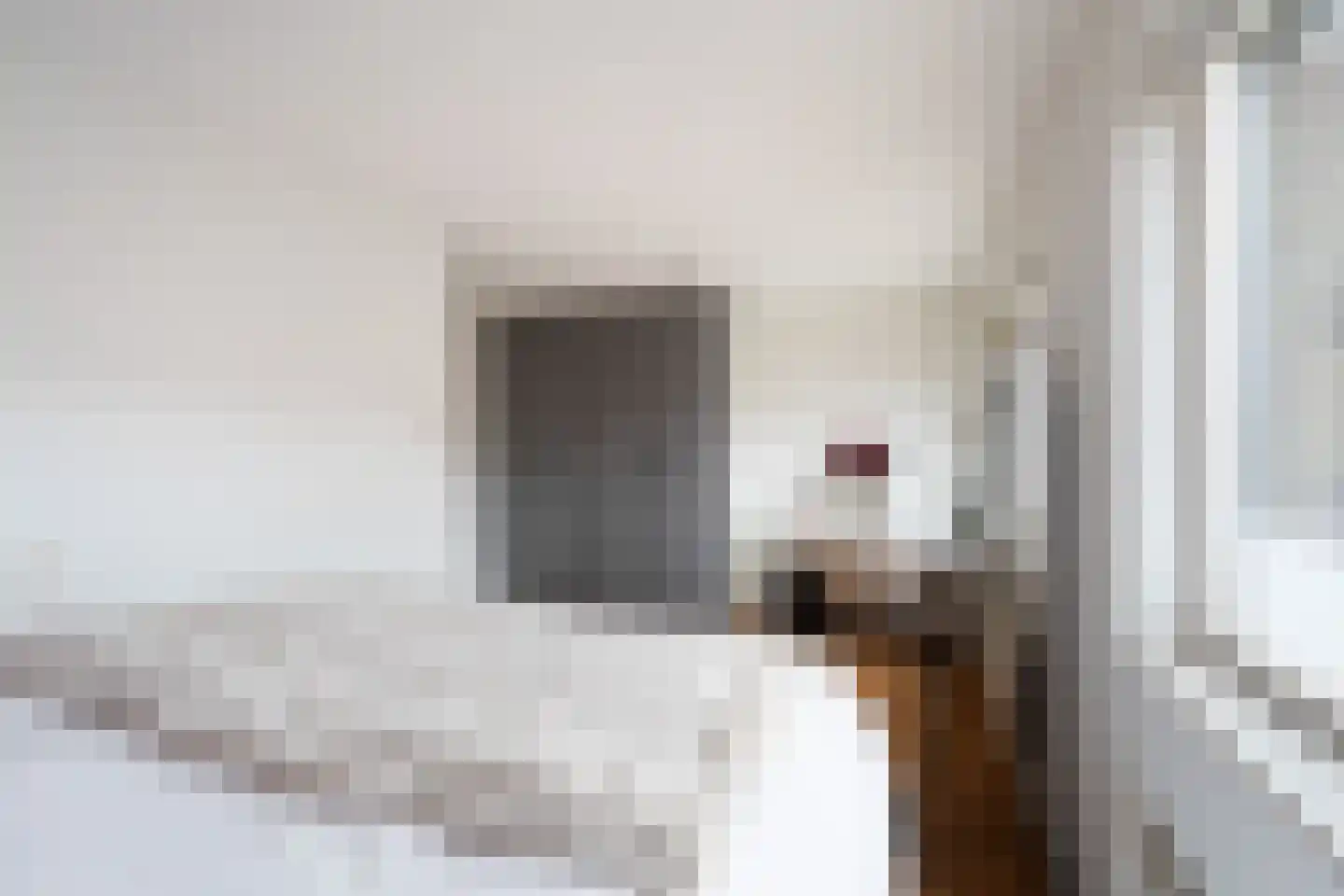 Mommastraat 6 Wateringen thumbnail 23