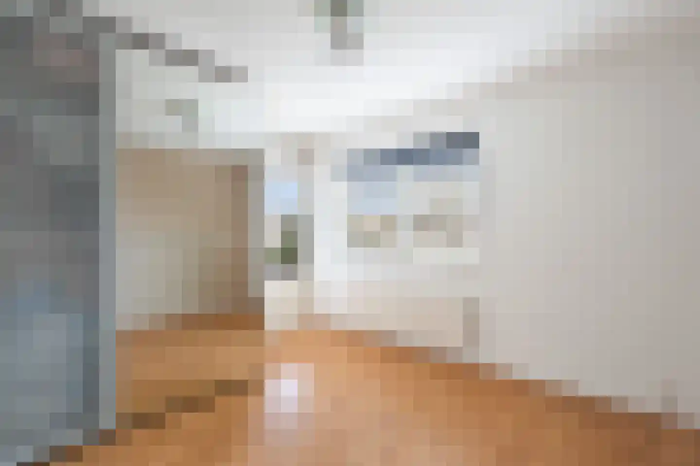 Mommastraat 6 Wateringen thumbnail 26