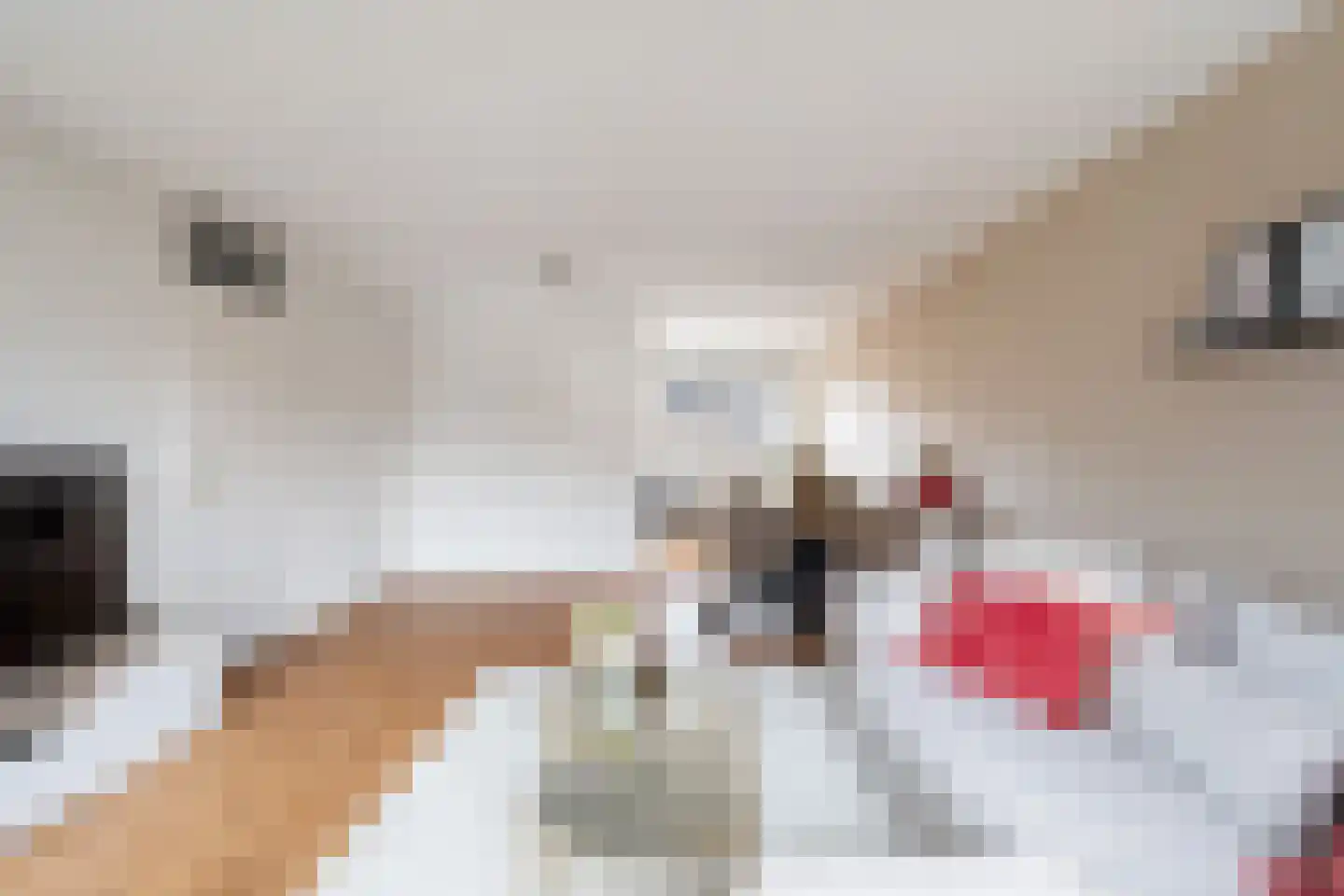 Mommastraat 6 Wateringen thumbnail 8