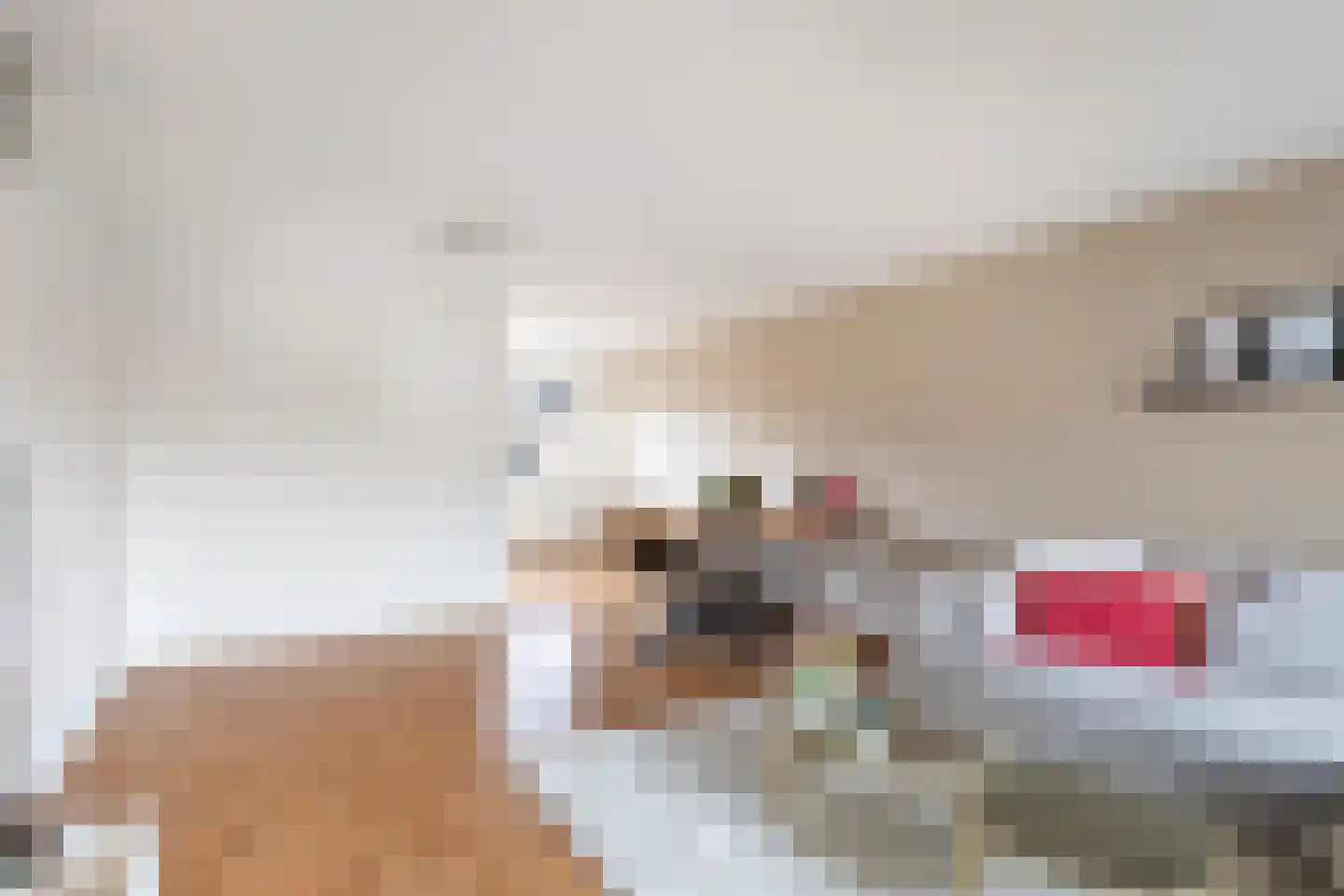 Mommastraat 6 Wateringen thumbnail 9