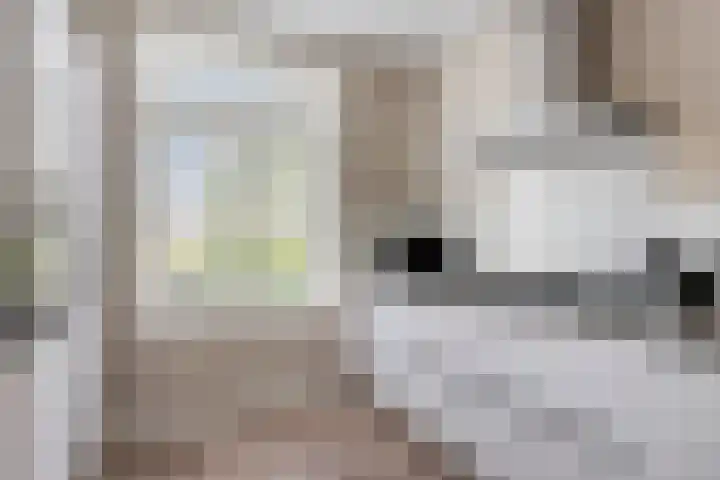 Mommersdonk 26 Helmond thumbnail 11
