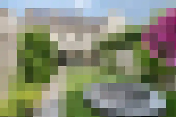 Mommersdonk 26 Helmond thumbnail 29