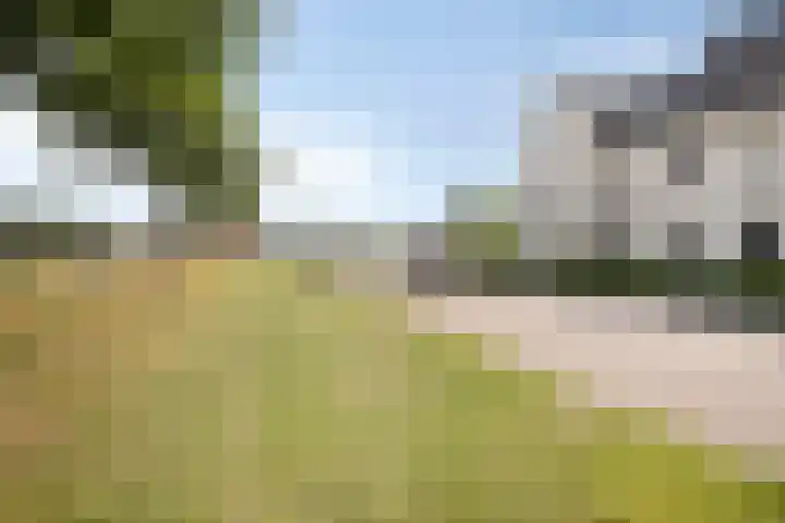 Mommersdonk 26 Helmond thumbnail 32