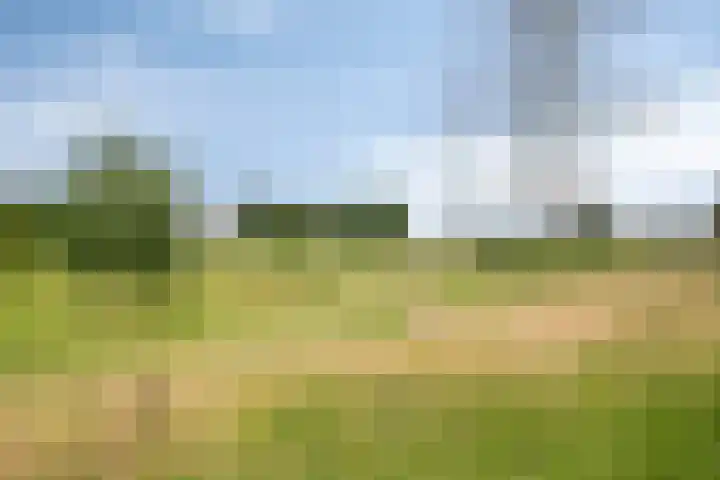 Mommersdonk 26 Helmond thumbnail 34